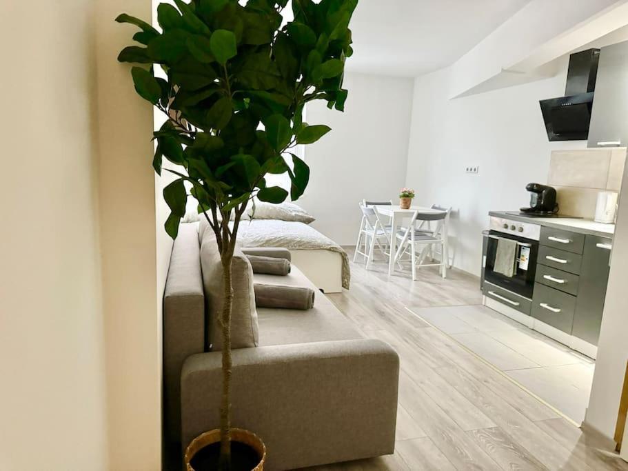 Stylish Schonbrunn Apartments - Free Underground Parking Βιέννη Εξωτερικό φωτογραφία