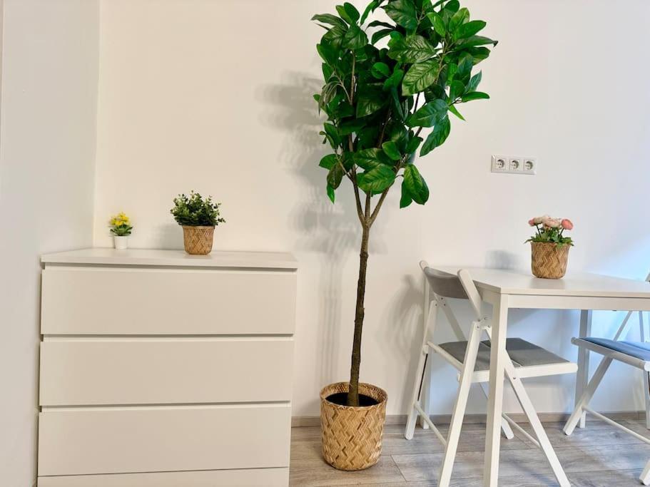 Stylish Schonbrunn Apartments - Free Underground Parking Βιέννη Εξωτερικό φωτογραφία