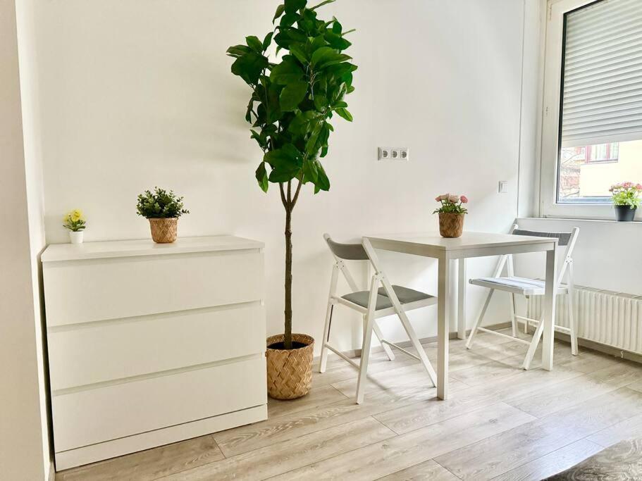 Stylish Schonbrunn Apartments - Free Underground Parking Βιέννη Εξωτερικό φωτογραφία